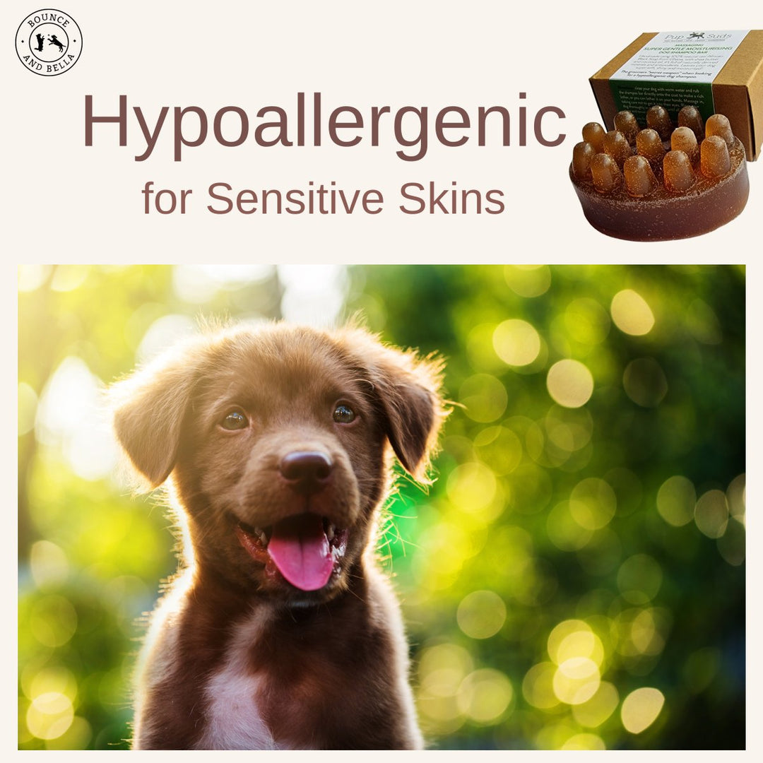 hypoallergenic Moisturising Hypoallergenic Dog Shampoo Bar