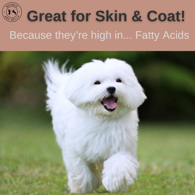  Great for Skin & Coat! Because they contain... lots of Collagen