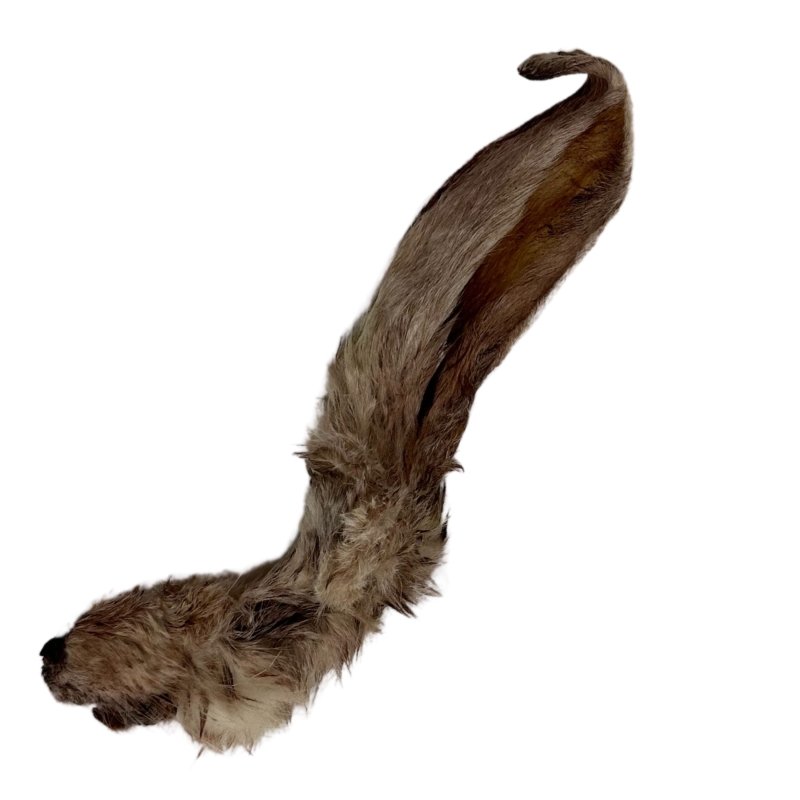 Natural Rabbit Ears with Hair,  Rich in Collagen & Natural Dental Chews (from the Tasting Platter)