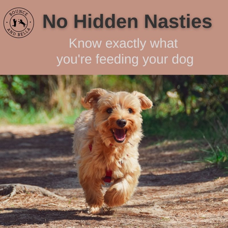 No Hidden Nasties - know exactly what you're feeding your dog