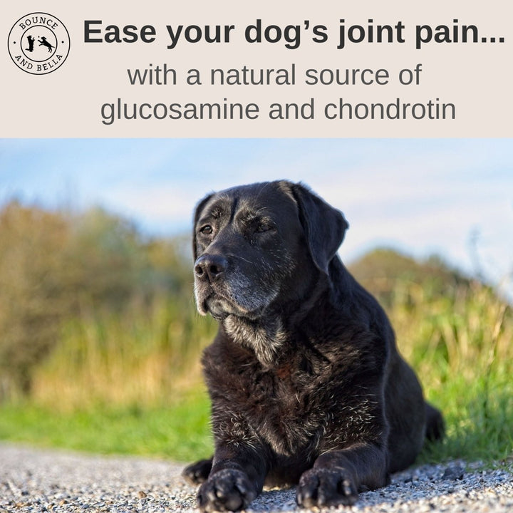 Ease your dog’s joint pain with a natural source of glucosamine and chondroitin.