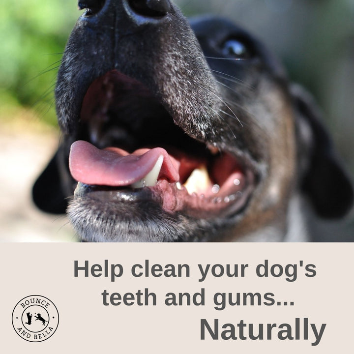 Help clean your dog’s teeth and gums naturally!