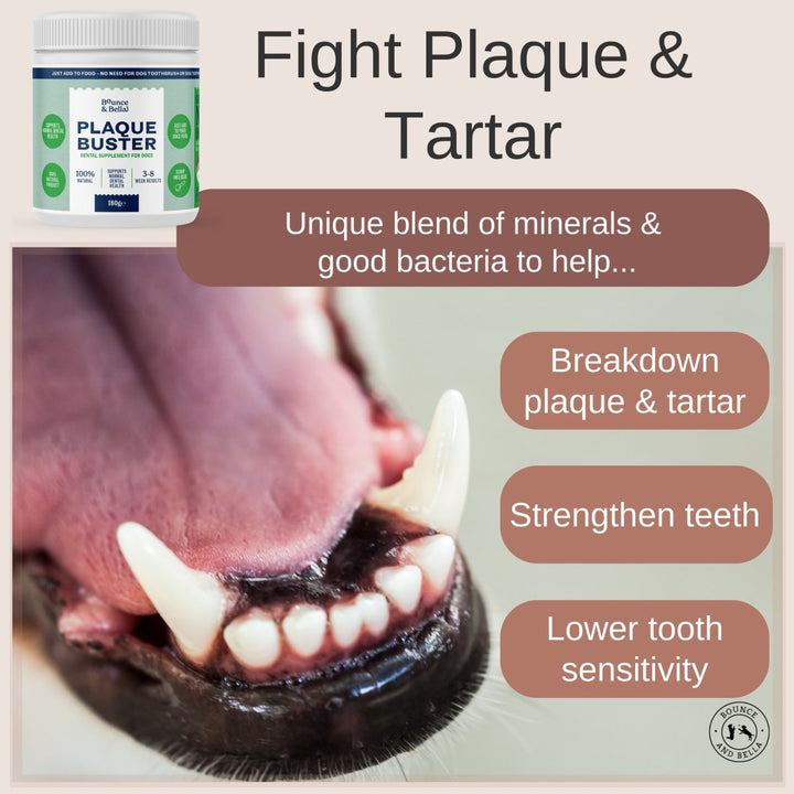 Plaque Buster - Tartar &amp; Plaque Remover for Dogs | Dog Breath Freshener | Easy use Powder 180g