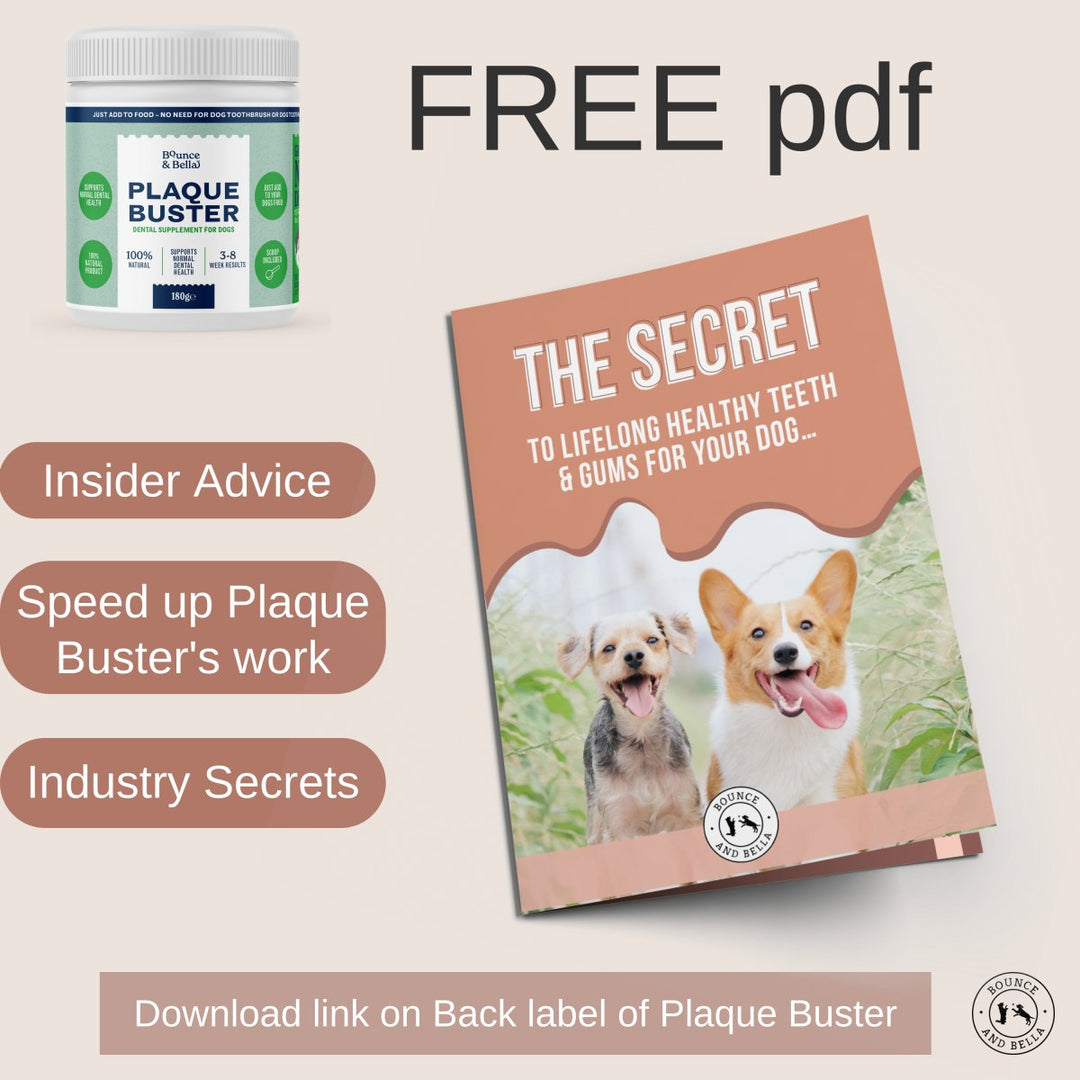 Plaque Buster - Tartar &amp; Plaque Remover for Dogs | Dog Breath Freshener | Easy use Powder 180g