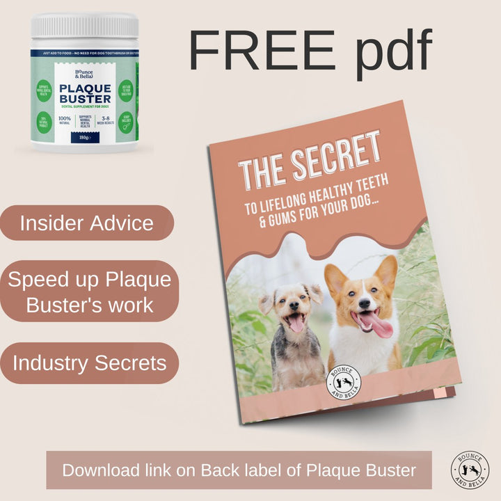 Plaque Buster - Tartar &amp; Plaque Remover for Dogs | Dog Breath Freshener | Easy use Powder 180g