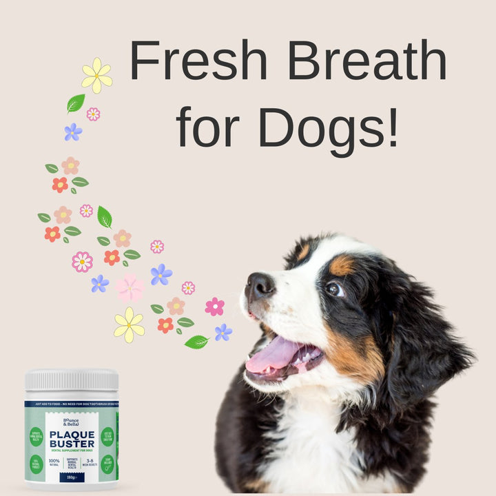 Plaque Buster - Tartar &amp; Plaque Remover for Dogs | Dog Breath Freshener | Easy use Powder 180g