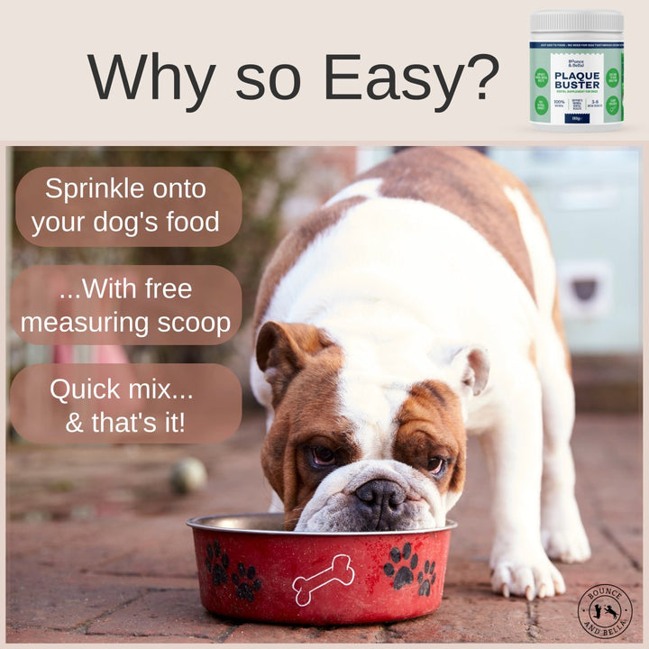Plaque Buster - Tartar &amp; Plaque Remover for Dogs | Dog Breath Freshener | Easy use Powder 180g