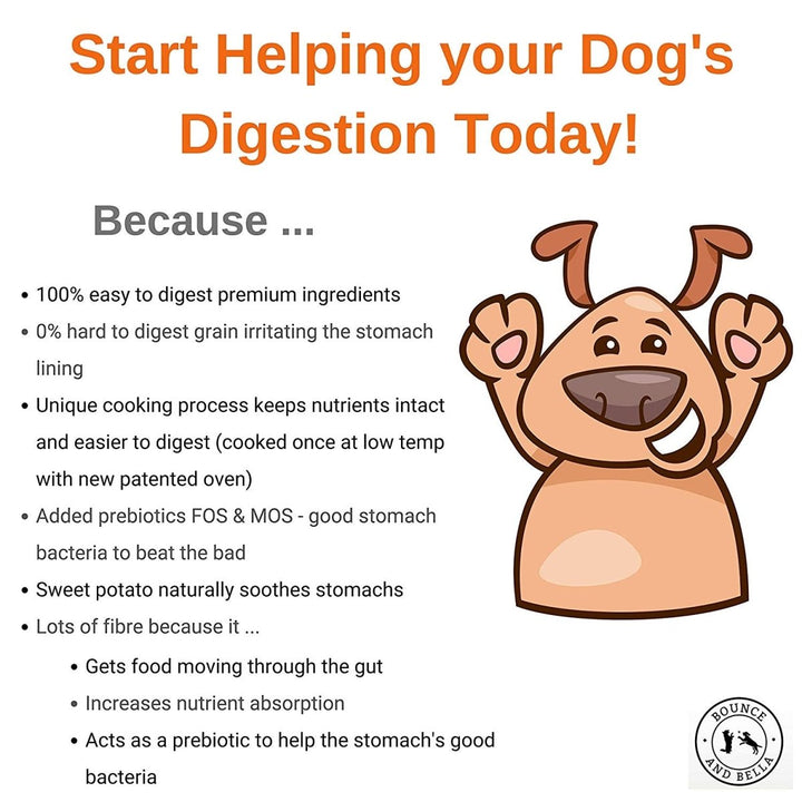 Start helping your dog’s digestion today! 