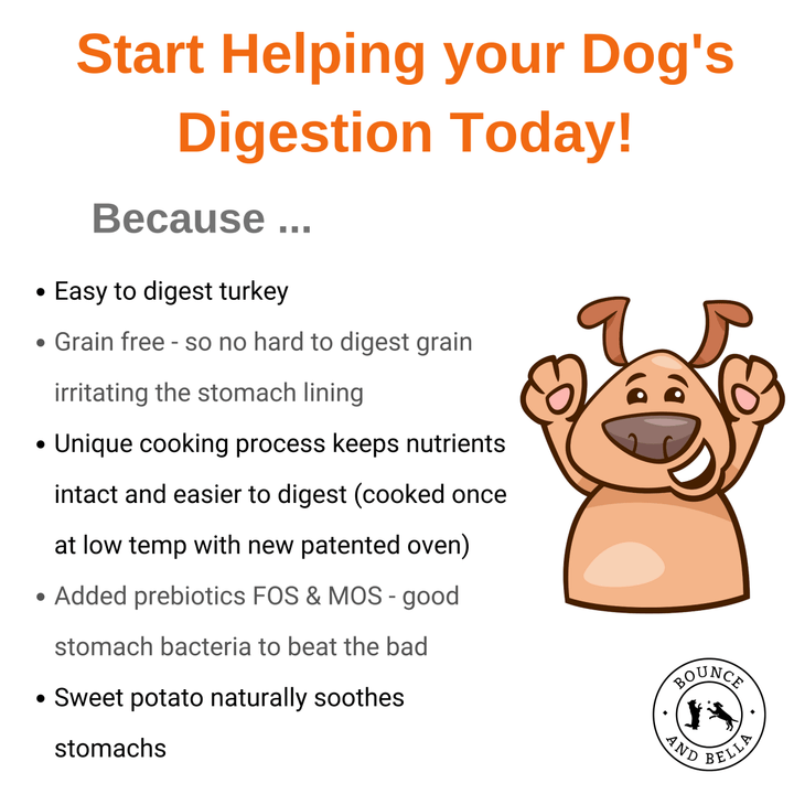 SAMPLE - Complete Grain Free Dog Food - LARGE BREED -  Turkey &amp; Cranberry