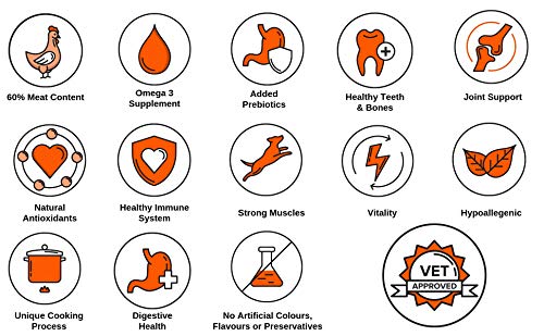 Benefits of Grain-Free Puppy Food Infographic