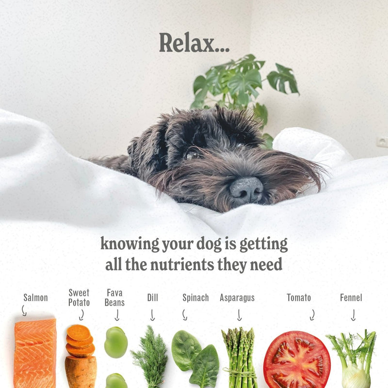 Scottish Salmon - ADULT - Luxury Complete Grain Free Dry Dog Food (2kg to 15kg)