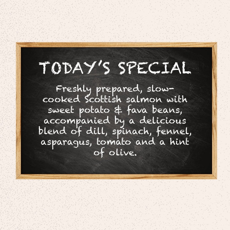 Scottish Salmon PUPPY Luxury Complete Grain Free Dry Dog Food