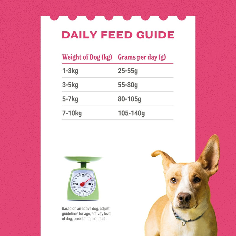 Scottish Salmon - SMALL BREED - Luxury Complete Grain Free Dry Dog Food (2kg to 12kg)