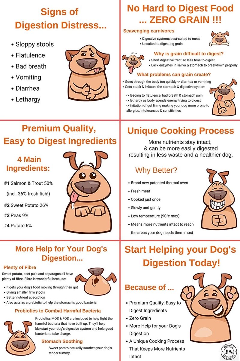 Dangers of Grain for dogs infographic. Grain causes digestion distress.