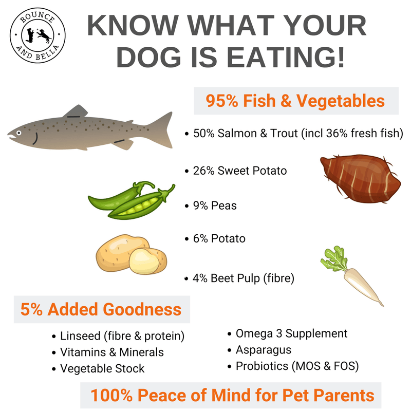 Complete Grain-Free Dry Dog Food.