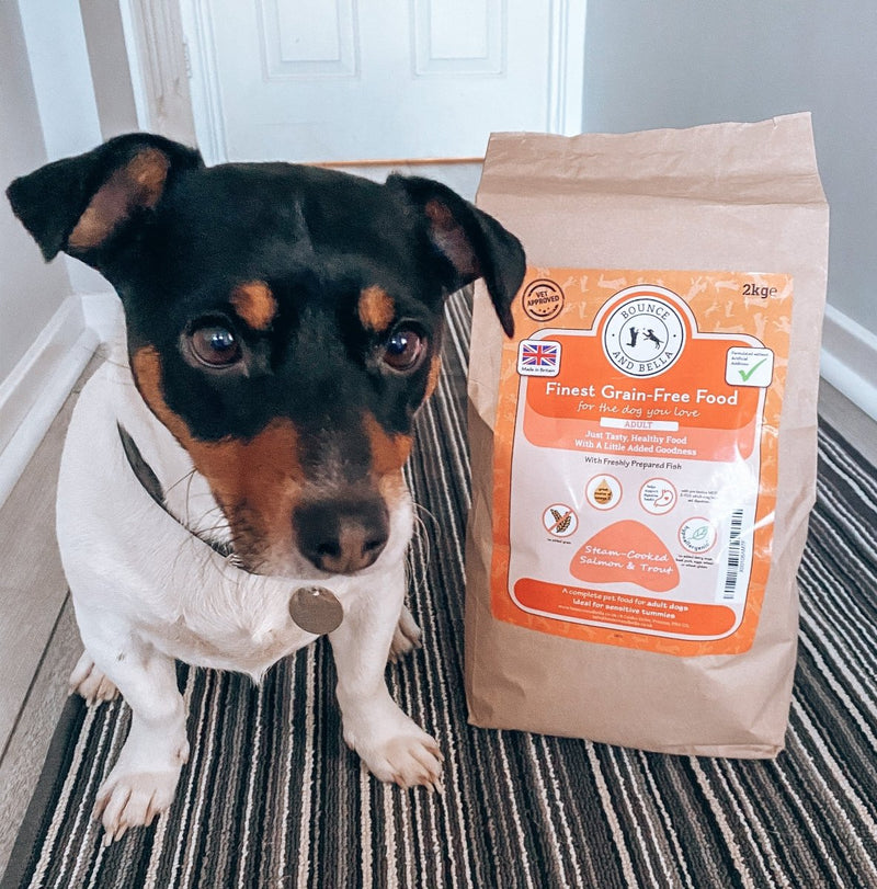 Salmon & Trout with Veg Complete Grain Free Dog Food