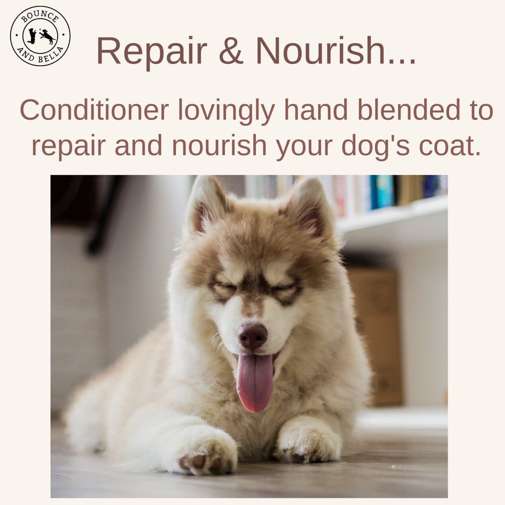 The Coat Oil - Repair and Nourish Conditioner with 100% natural ingredients