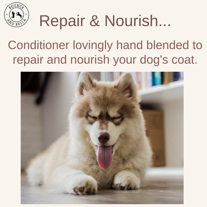 The Coat Oil - Repair and Nourish Conditioner with 100% natural ingredients