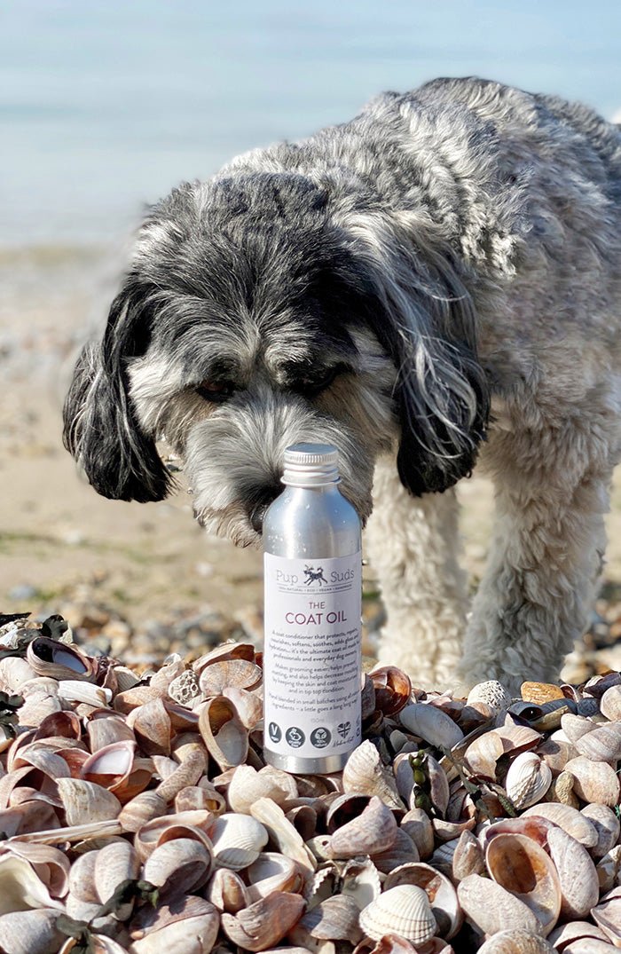 Bertie and The Coat Oil - Conditioner with 100% natural ingredients
