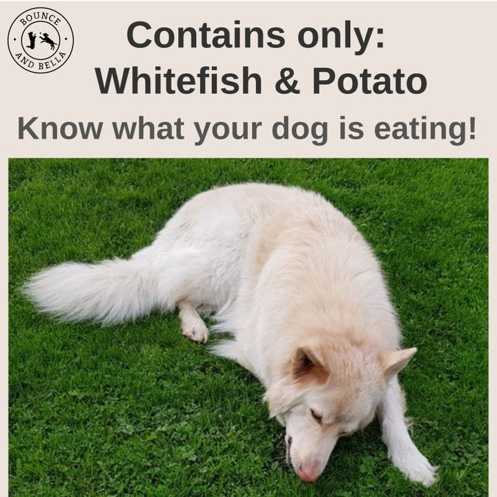 Low fat dog treats - whitefish and potato pet parent treats - only 2 ingredients - 