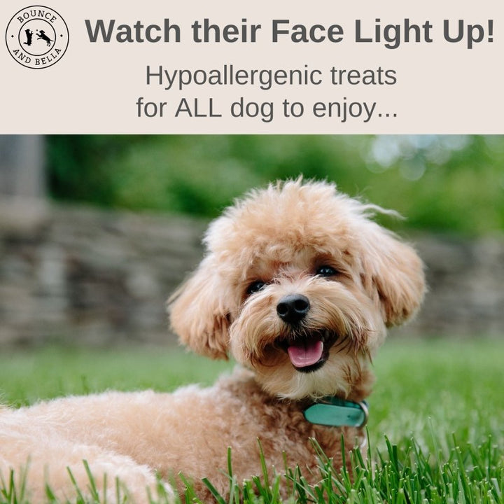 Watch their Face Light Up! Hypoallergenic treats for ALL dogs to enjoy!