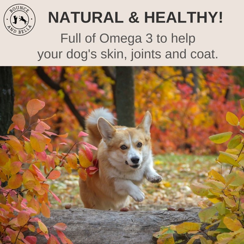 Natural & Healthy! Full of Omega 3 to help your dog’s skin, joints and coat. 